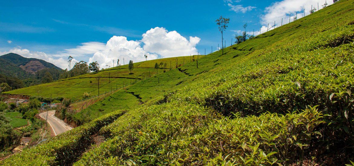 Tamil Nadu