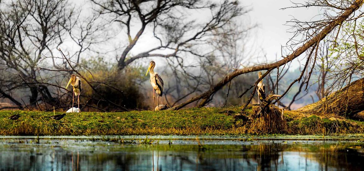 Rajasthan