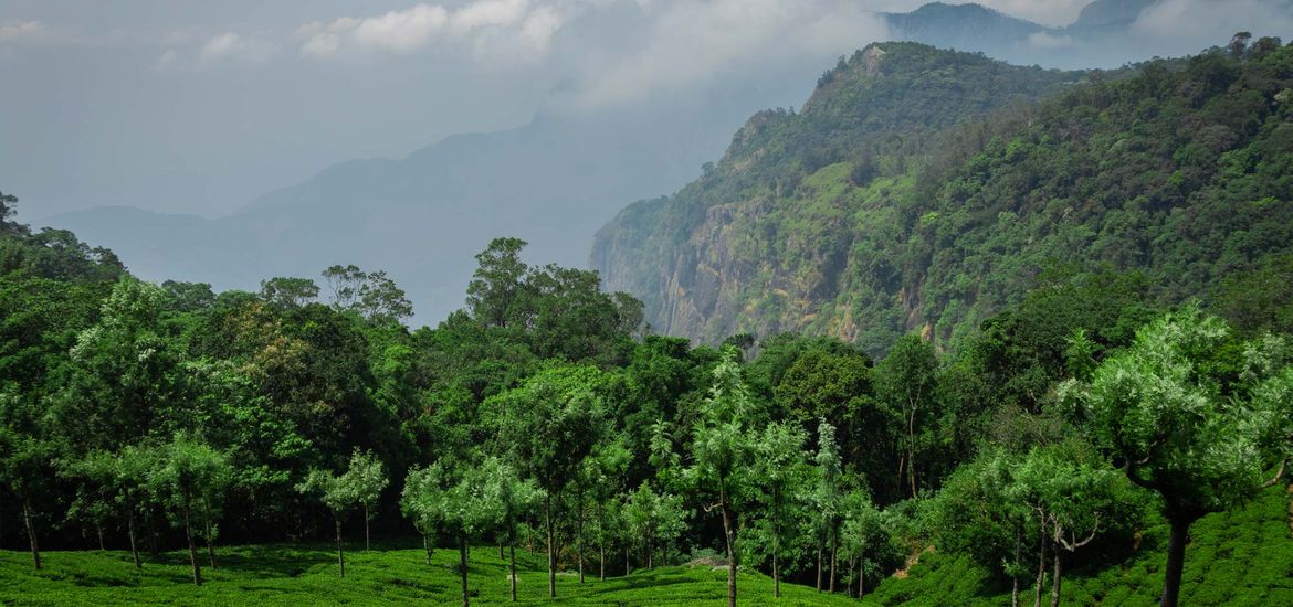 Tamil Nadu