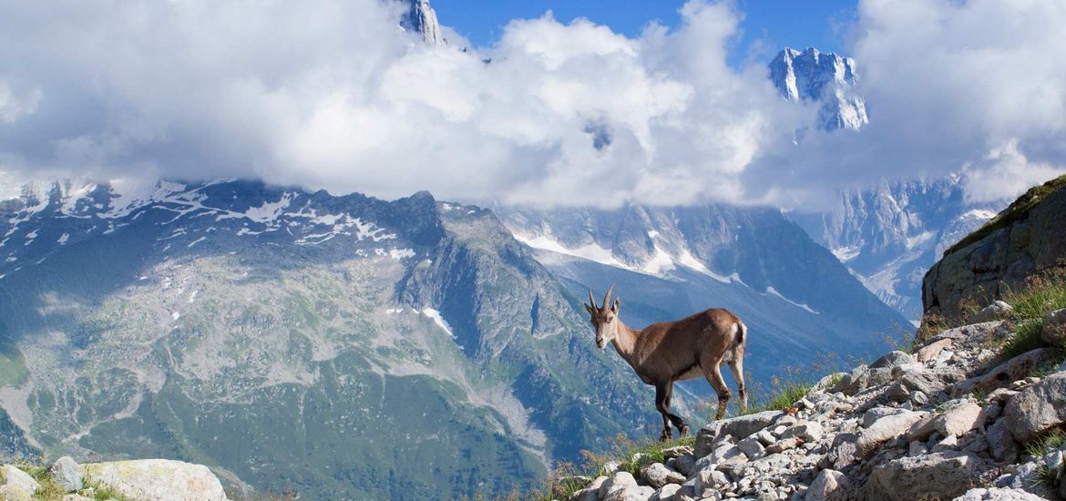 Great Himalayan National Park