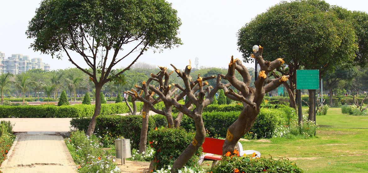 Japanese Park