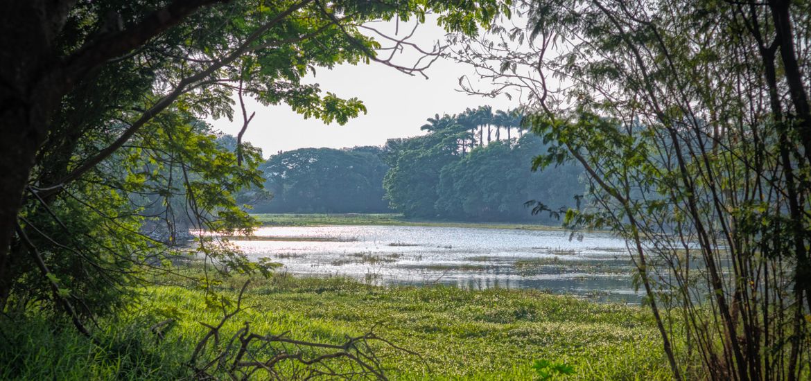 Karanji Lake