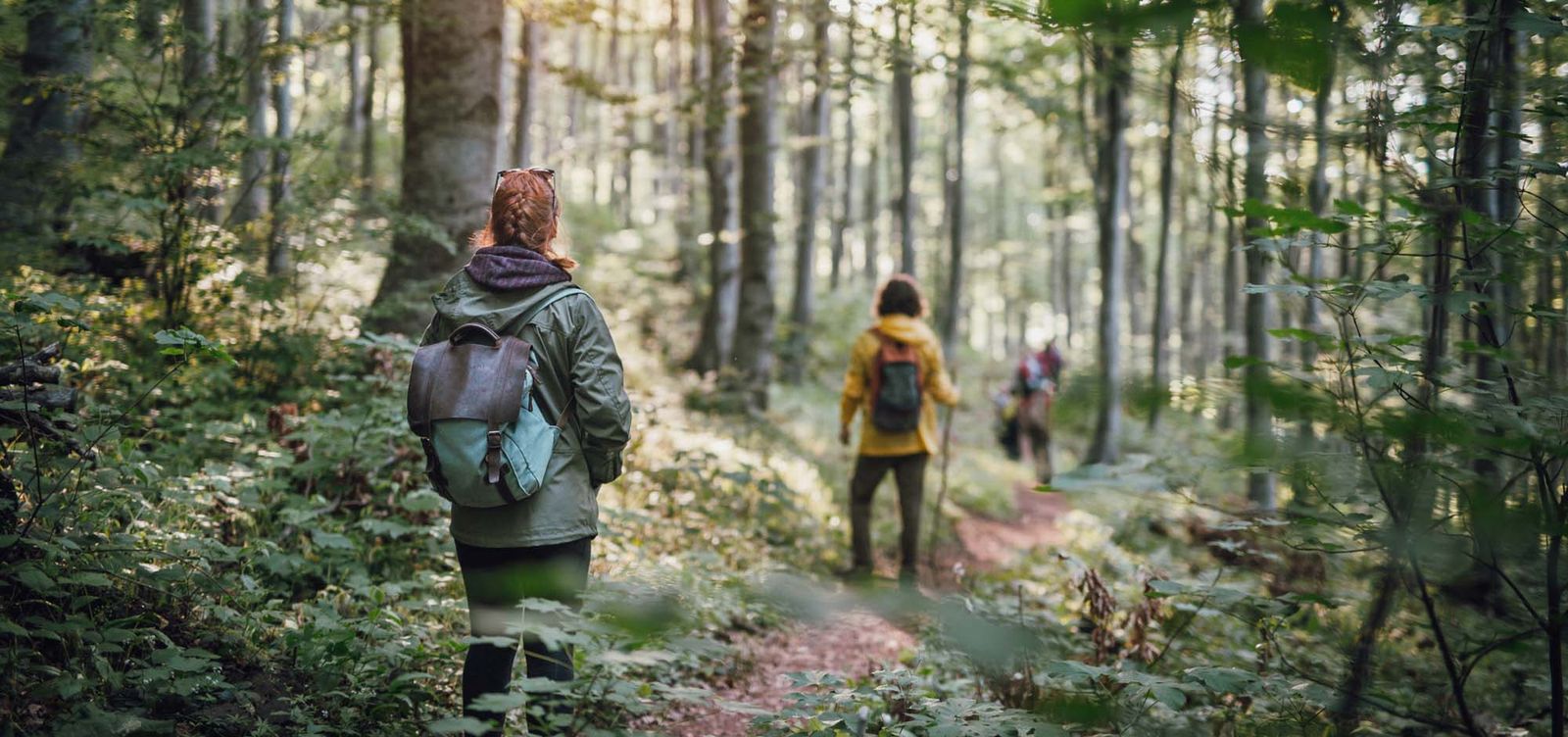 From Easy Trails to High Passes: Top 10 Treks in Himachal Pradesh