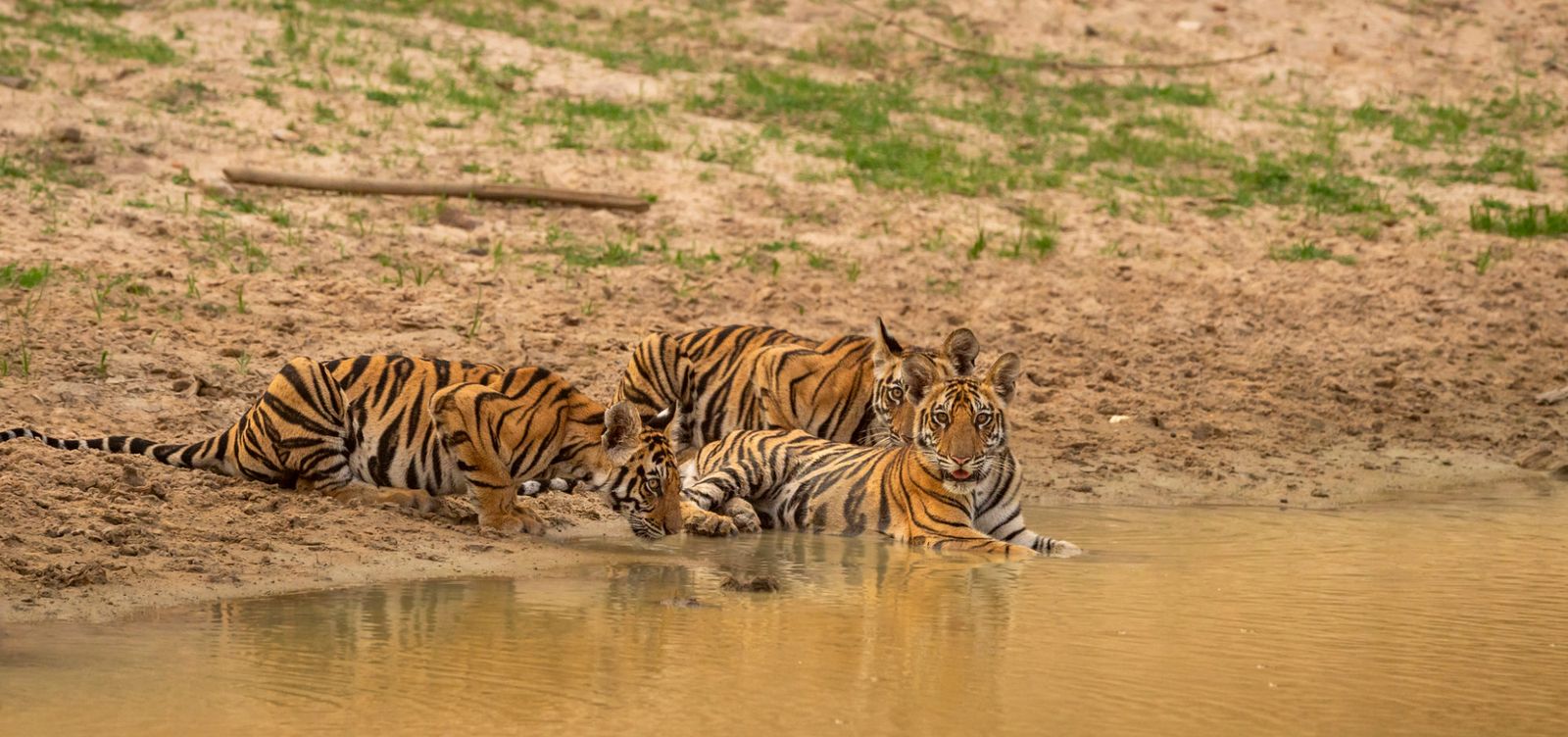Panna National Park