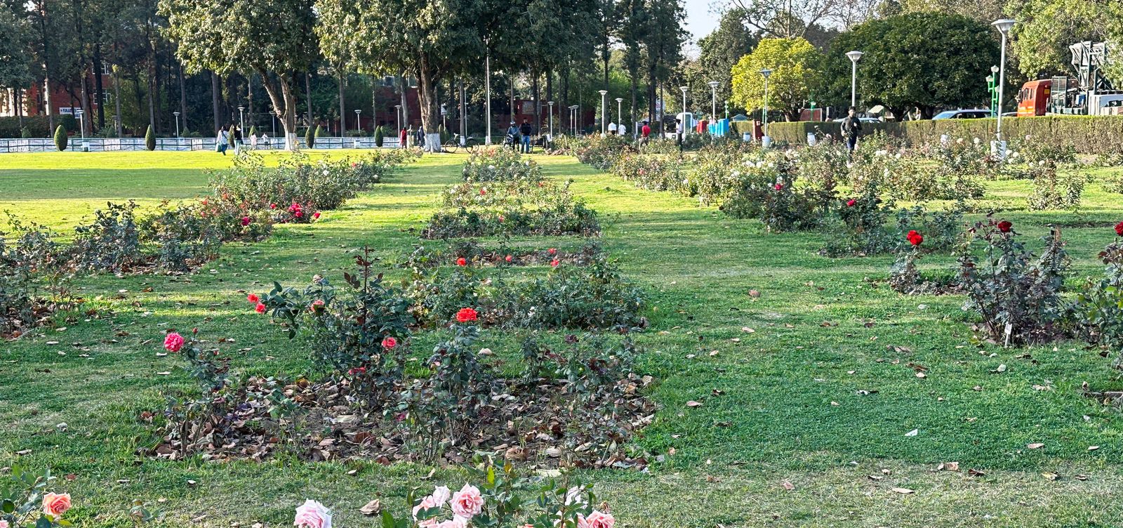 Chandigarh