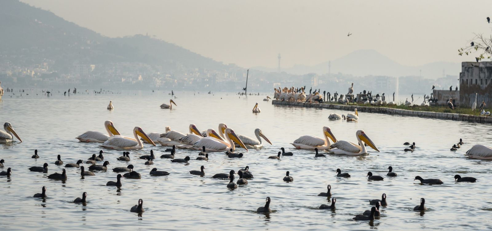 Anasagar Lake