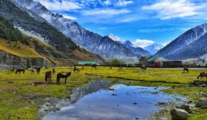 Luxurious Kashmir with Pahalgam & Gulmarg