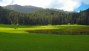 Himachal Pradesh Family Holiday – Shimla, Manali & Dharamshala
