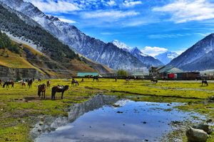 Luxurious Kashmir with Pahalgam & Gulmarg