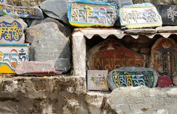himachal pradesh tourist guide