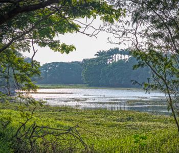 Karanji Lake,  Lake in Mysore