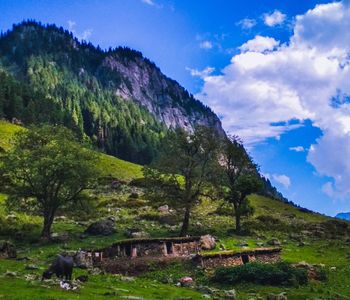 Lidderwat,  Tourist Spot in Pahalgam