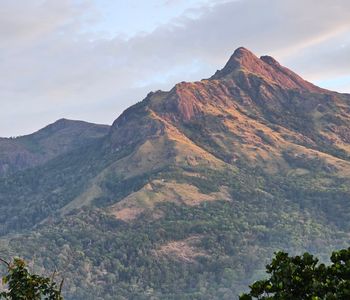 Anamudi, Mountain in Munnar