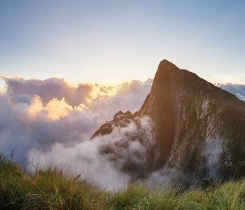 Meesapulimala,  Mountain in Munnar