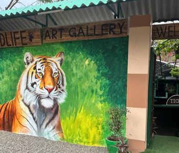 Wildlife Art Gallery, Art Gallery in Jim Corbett National Park
