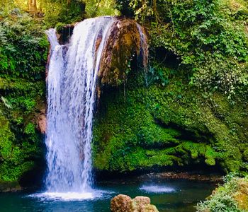 Corbett Falls, Waterfall in Jim Corbett National Park