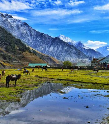 Complete Travel Guide to Pahalgam, Jammu and Kashmir