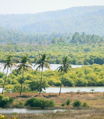 Inland Goa, Goa