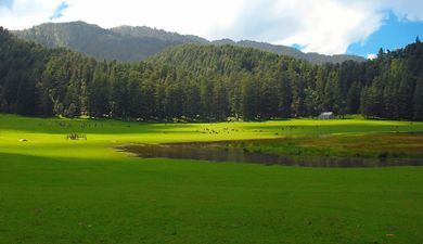 Himachal Pradesh Family Holiday – Shimla, Manali & Dharamshala
