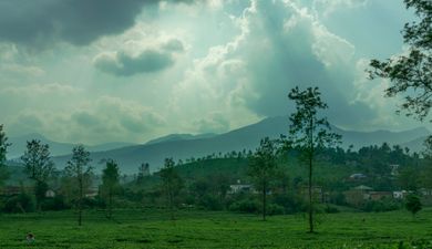 Wayanad & Coorg Nature Escape