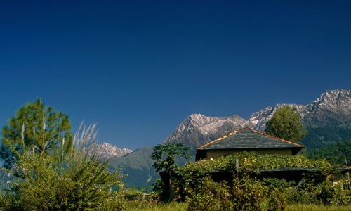 Palampur in Himachal Pradesh