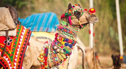 Pushkar