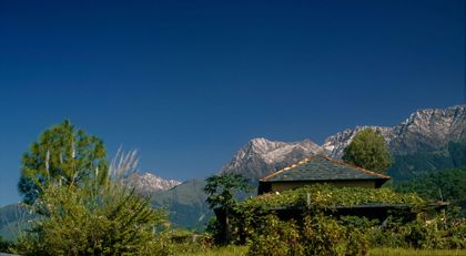 Palampur